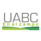 Logotipo UABC en el campo